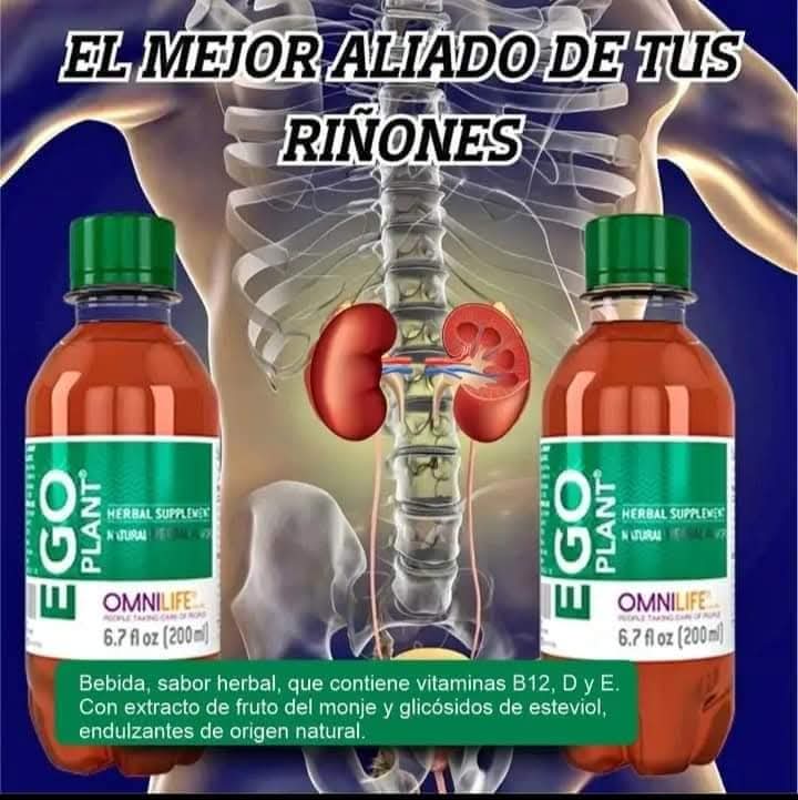 EGO PLANT: La bebida herbal que refresca y desintoxica tu cuerpo (200ml)