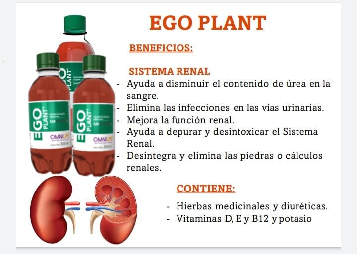 EGO PLANT: La bebida herbal que refresca y desintoxica tu cuerpo (200ml)