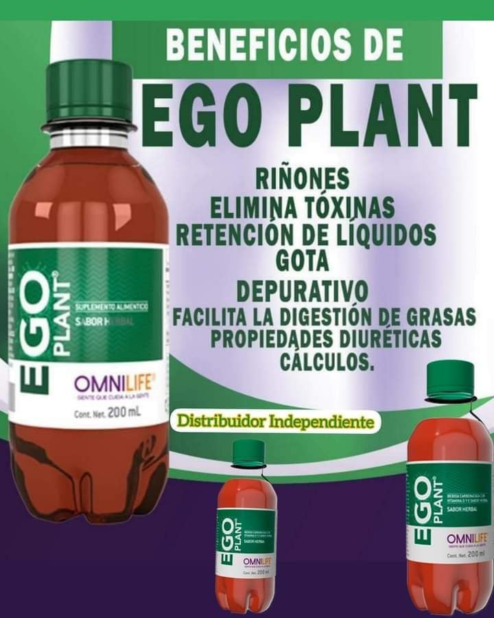EGO PLANT: La bebida herbal que refresca y desintoxica tu cuerpo (200ml)