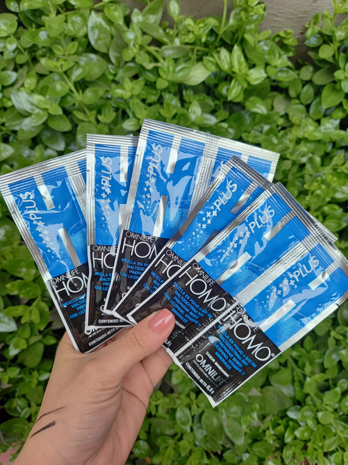 HOMO PLUS: Boost your masculine vitality from within 