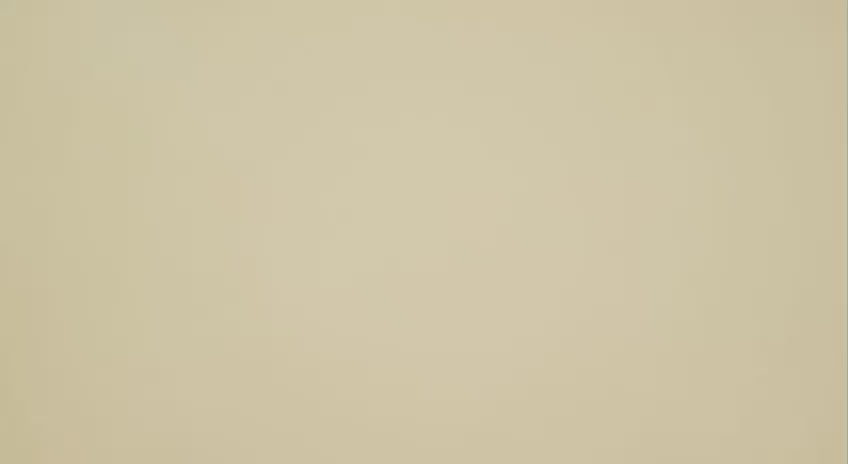 Cafelife Plus – Café Funcional con Cromo e Inulina para Energía y Bienestar